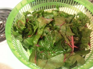 Chard